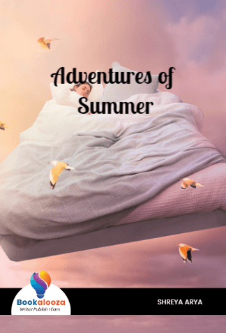 Adventures of Summer