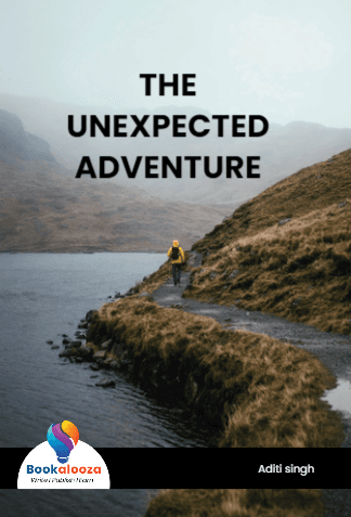 THE UNEXPECTED ADVENTURE