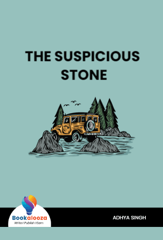 THE SUSPICIOUS STONE