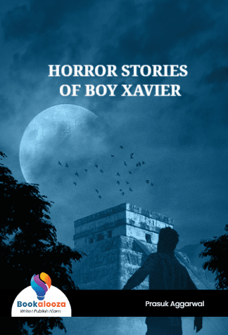 HORROR STORIES OF BOY XAVIER