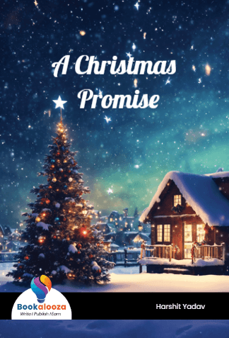 A Christmas Promise