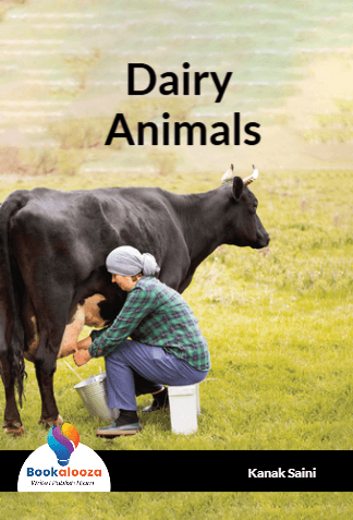 Dairy 
Animals