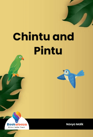 Chintu and    Pintu